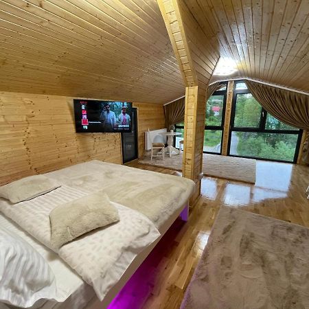 Pensiunea Alexolar New One Arada Ngoại thất bức ảnh