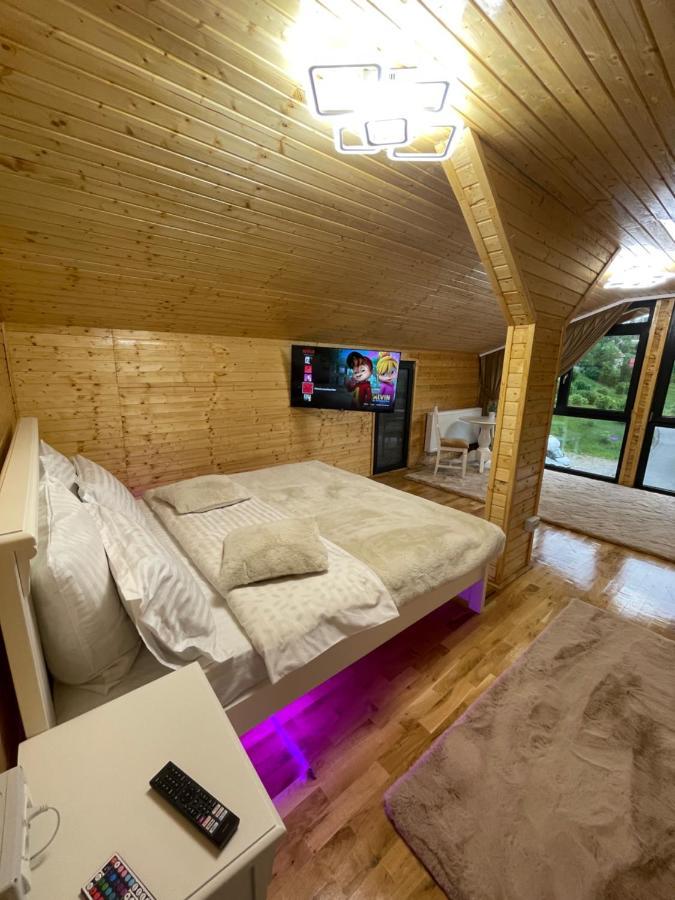 Pensiunea Alexolar New One Arada Ngoại thất bức ảnh